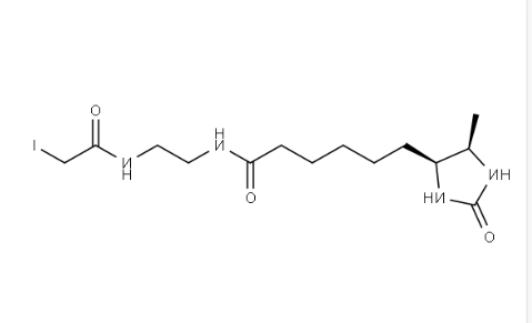 生物素试剂2924824-04-2，Desthiobiotin-Iodoacetamide