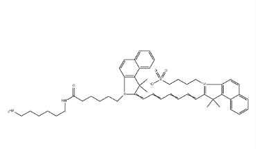 ICG-Amine
