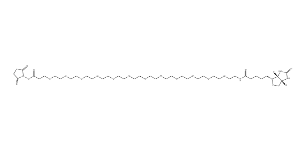 Biotin-PEG₁₂-NHS Ester