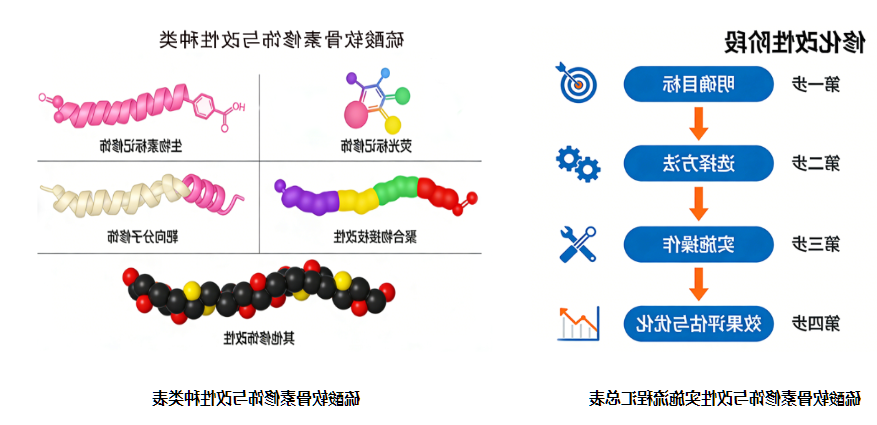 硫酸软骨素修饰