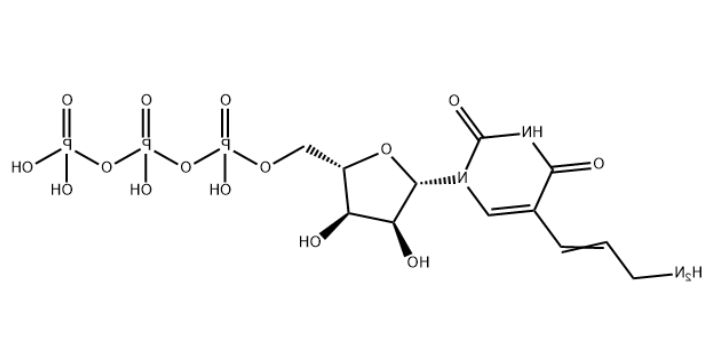 Aminoallyl-UTP