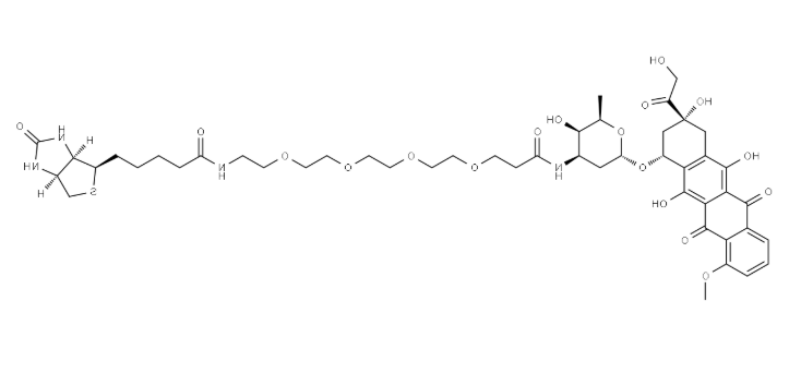 Doxorubicin-PEG4-Biotin，3026061-31-1