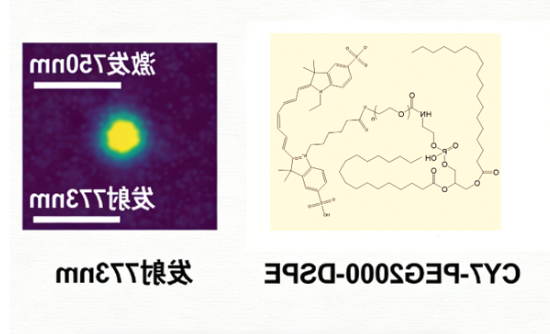 CY7-PEG2000-DSPE CY7-PEG2000-DSPE