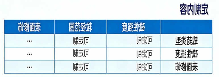 载药磁性纳米颗粒定制