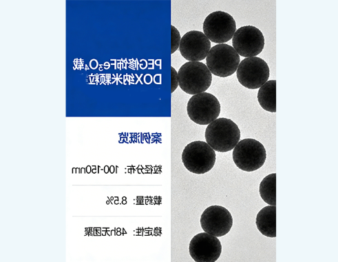 PEG修饰Fe₃O₄载阿霉素