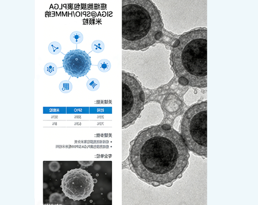 癌细胞膜包裹PLGA@SPIO/HMME载药磁性纳米颗粒定制