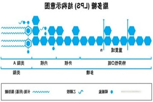 脂多糖 脂多糖
