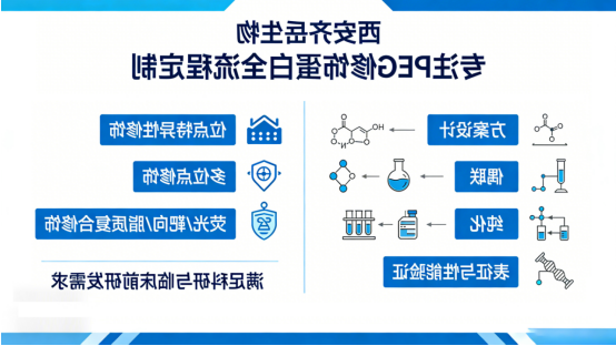 西安球赛在线直播平台
生物PEG修饰蛋白定制服务