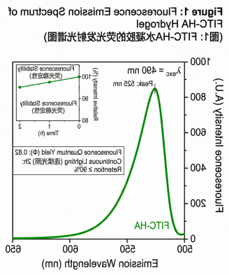 FITC荧光标记HA水凝胶
