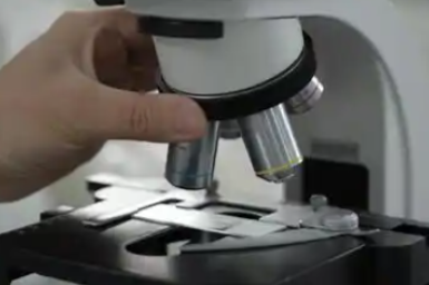 FITC-PEG-cholesterol
