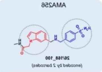 AMA256化合物定制