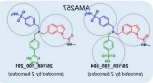 AMA257化合物定制