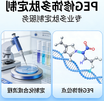 PEG 修饰多肽