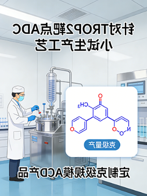 某药企TROP2靶向ADC小试工艺开发项目