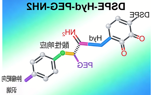 肿瘤靶向酸性响应DSPE-Hyd-PEG-NH2定制