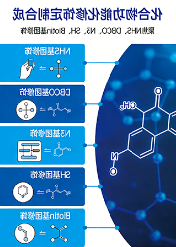 化合物功能化修饰定制合成