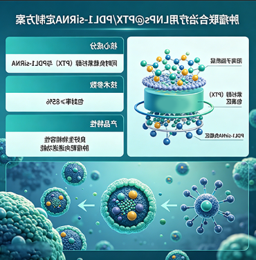 肿瘤联合*用LNPs@PTX/PDL1-siRNA定制 肿瘤联合*用LNPs@PTX/PDL1-siRNA定制