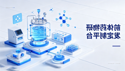 前体药物定制