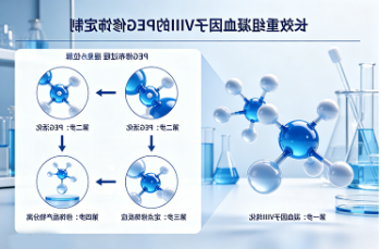 长效重组凝血因子VIII的PEG修饰定制