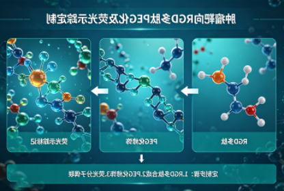 肿瘤靶向RGD多肽PEG化+荧光示踪定制