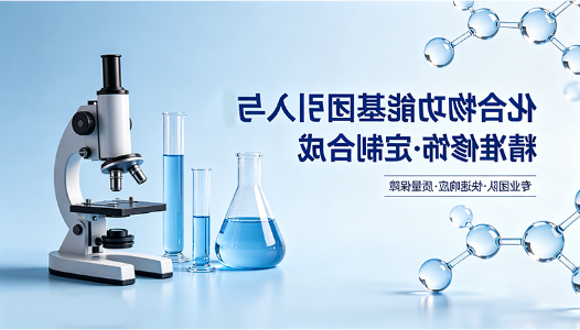 化合物功能基团引入与定制化修饰服务