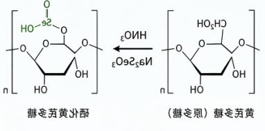 硒化修饰多糖 硒化修饰多糖