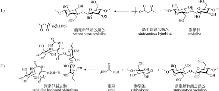 糖化学酯化 糖化学酯化