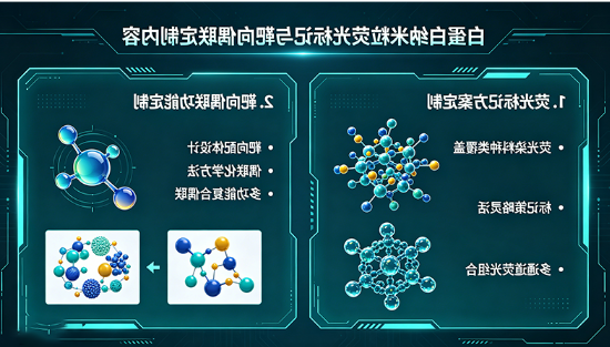 白蛋白纳米粒的荧光标记与靶向偶联定制内容