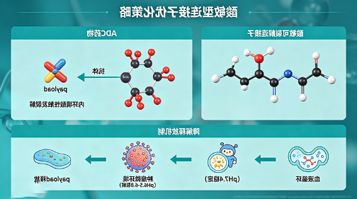 酸敏型连接子优化 酸敏型连接子优化