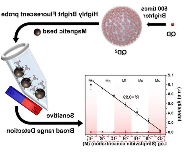 QDs-Dopamine QDs-Dopamine
