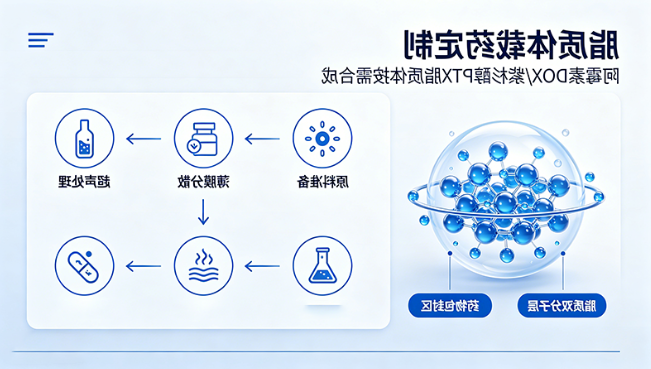 脂质体载药定制丨阿霉素 DOX / 紫杉醇 PTX 脂质体按需合成