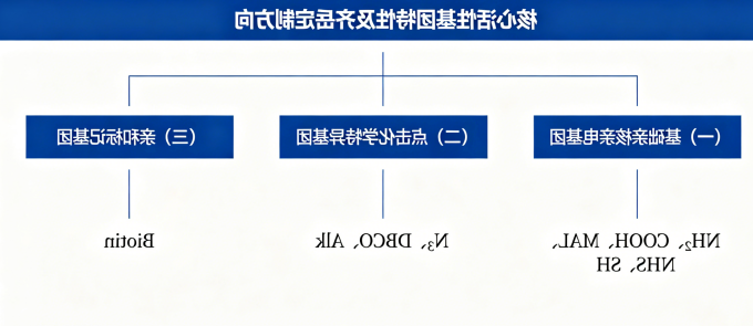 核心活性基团特性及球赛在线直播平台
定制方向 核心活性基团特性及球赛在线直播平台
定制方向