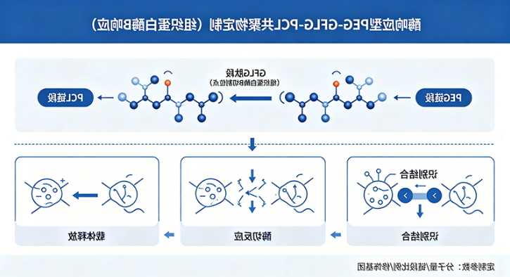 酶响应型PEG-GFLG-PCL共聚物定制（组织蛋白酶 B 响应）