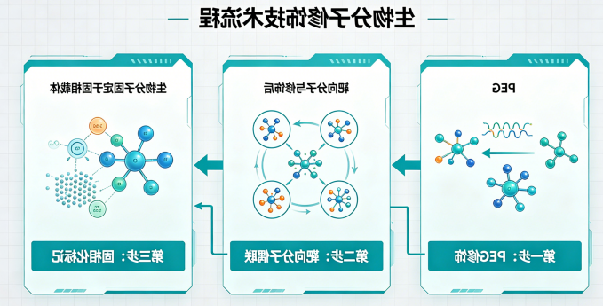 功能化修饰定制 功能化修饰定制