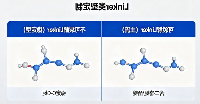 Linker 类型定制（可裂解 / 不可裂解）
