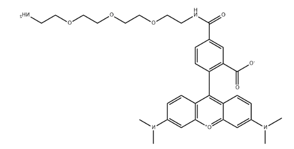 5-TAMRA-PEG3-amine 