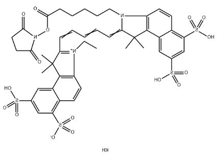  Cy5.5 NHS ester 