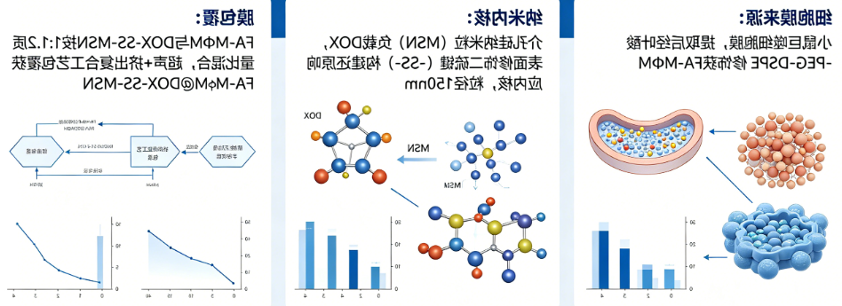 案例二：叶酸修饰巨噬细胞膜包覆 DOX 介孔硅纳米粒