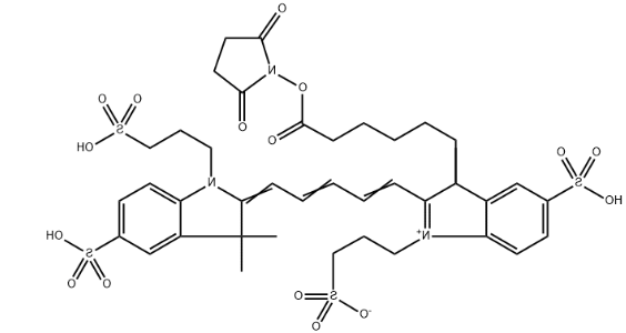  AF647活性酯 