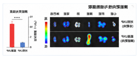 胍基可电离脂质LNP：脾脏靶向与肿瘤免疫治疗