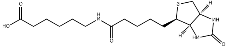 N-生物素基-6-氨基己酸 N-生物素基-6-氨基己酸