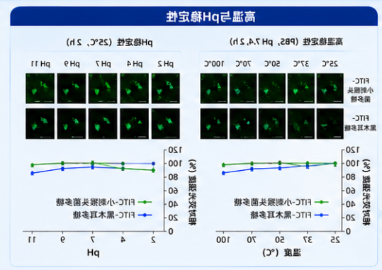 真菌多糖的体外稳定性验证 真菌多糖的体外稳定性验证