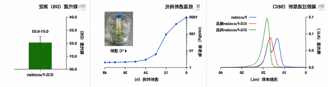 岩藻多糖的双模态成像
