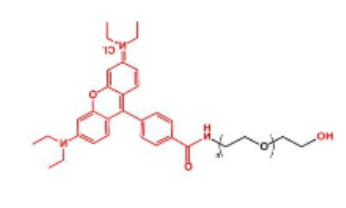 Rhodamine-PEG-OH