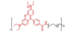 4ARM-PEG-Rhodamine