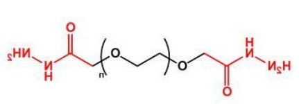 二酰肼聚乙二醇 Hydrazide-PEG-Hydrazide