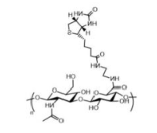 HA-Biotin