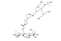 Chitosan-PEI