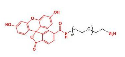 FITC-PEG-NH2