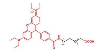 NHS-PEG-Rhodamine